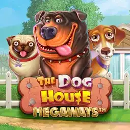 The Dog House Megaways gra w Allright Casino dla graczy z Polski