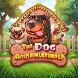 The Dog House Multihold gra w Allright Casino dla graczy z Polski